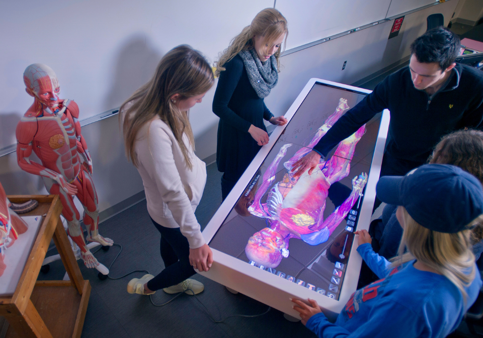 best hall anatomage table