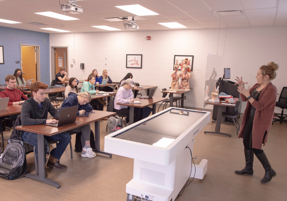 best hall anatomage table