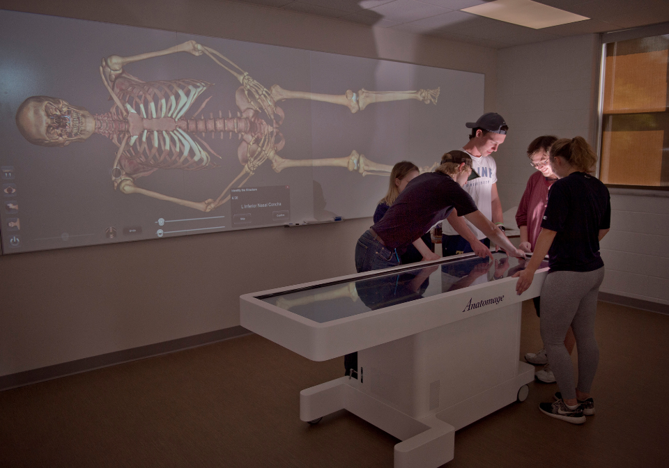 best hall anatomage table