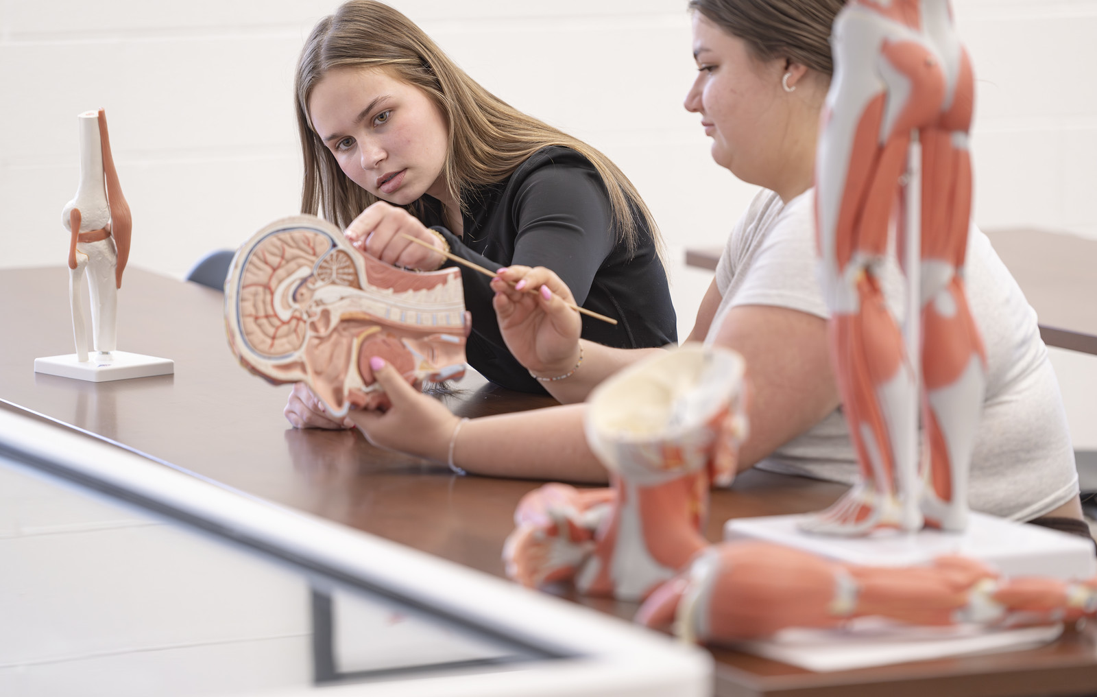 Health sciences class