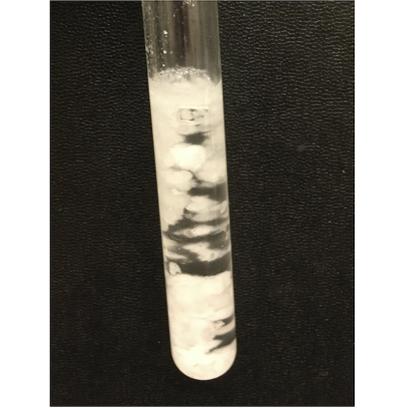 Crystals in test tube of fatty acid methyl esters (chemicals found in biodiesel fuel)