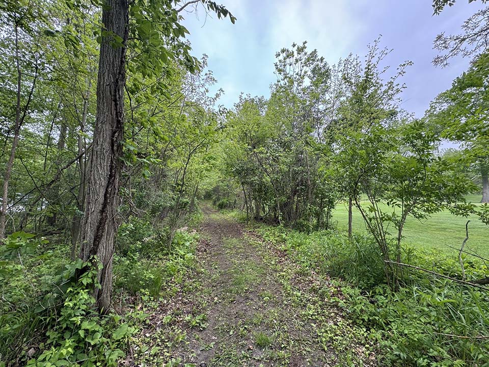 Trail area